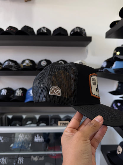 RANCH AND CORRAL X CUCO RAYA “18”
